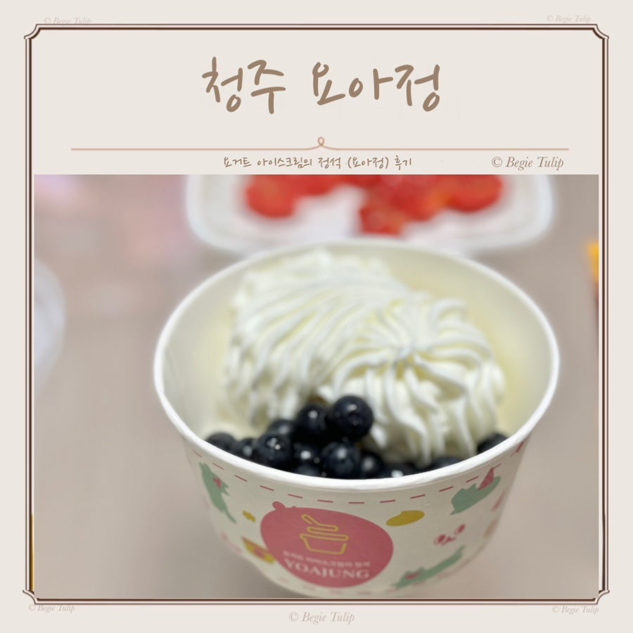요거트아이스크림의정석 오창점 사진 1