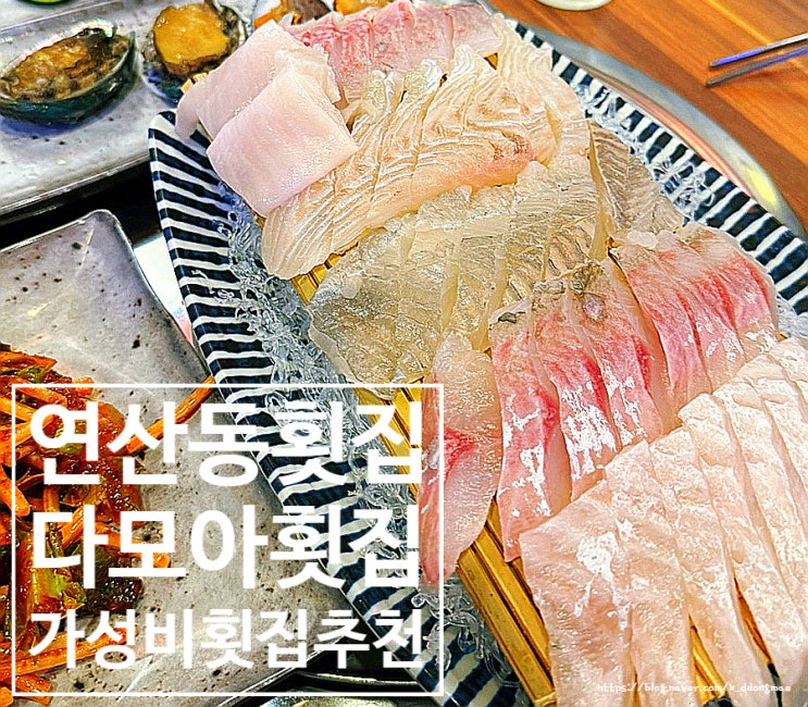  부산 연산동 횟집 추천 '다모아횟집' 가성비 좋은 칭구회포차 분점 내돈내산 후기