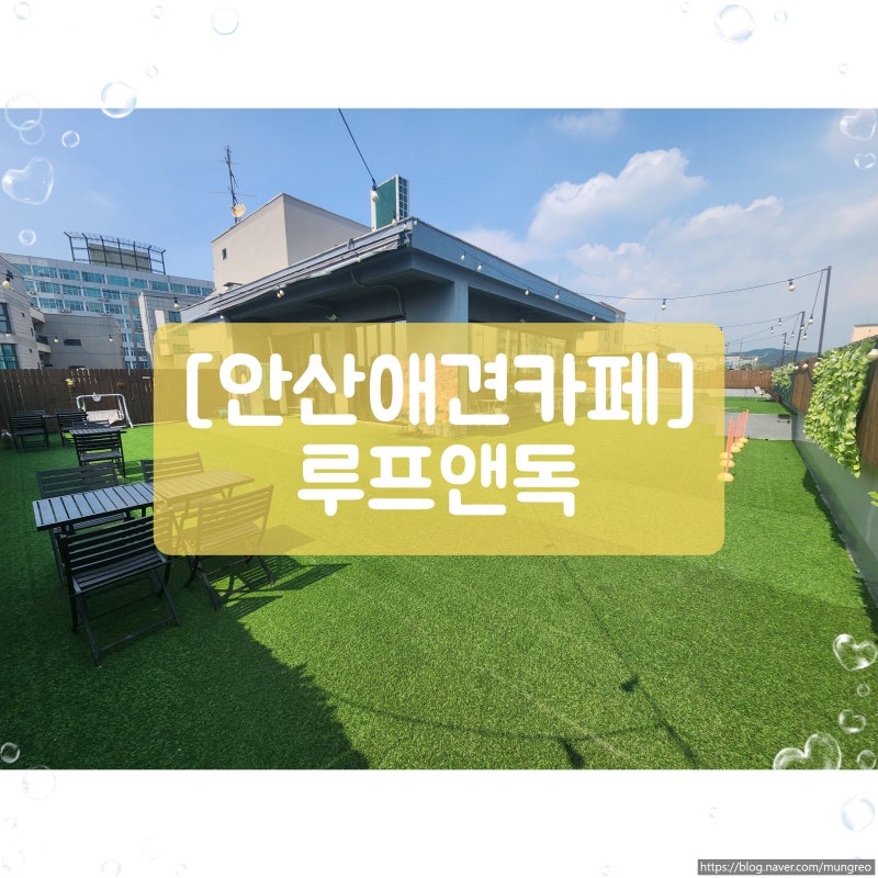 사진 4