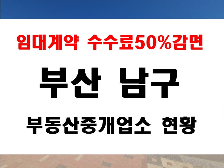  부산 남구 원룸 월세 임대 계약시 청년 우대 반값 중개수수료 감면 부동산 현황
