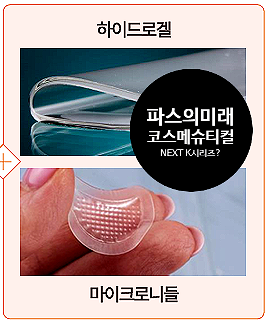  파스학개론,파스의어원과 파스의TDDS기술, 차세대 K시리즈는 파스가 될수도...