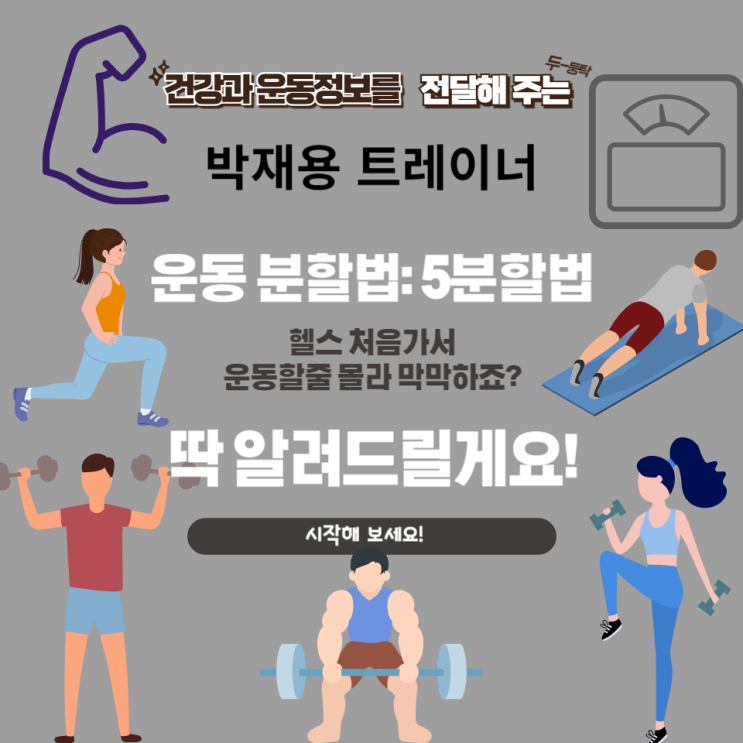  운동 분할법: 5분할법