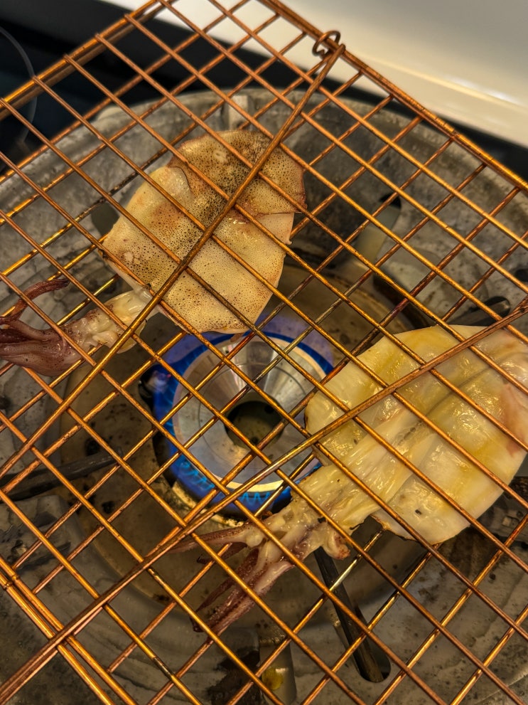  직접 잡은 오징어로 만드는 일본의 반건조 오징어: 이카노이치야보시(イカの一夜干し) 손질부터 만들기까지