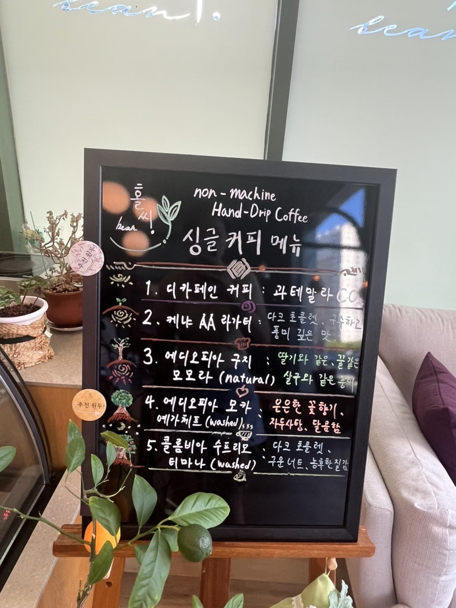 홀씨빈 사진 3
