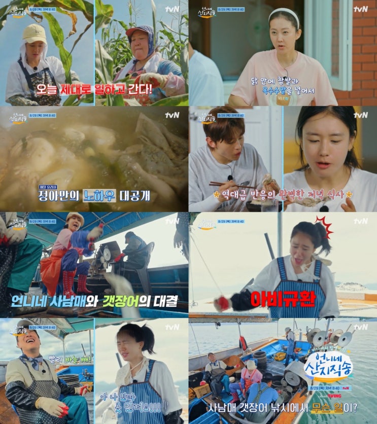 <<b>언니네 산지직송</b>> <b>차태현</b>, 속옷 없다더니 갯장어 조업까지... 