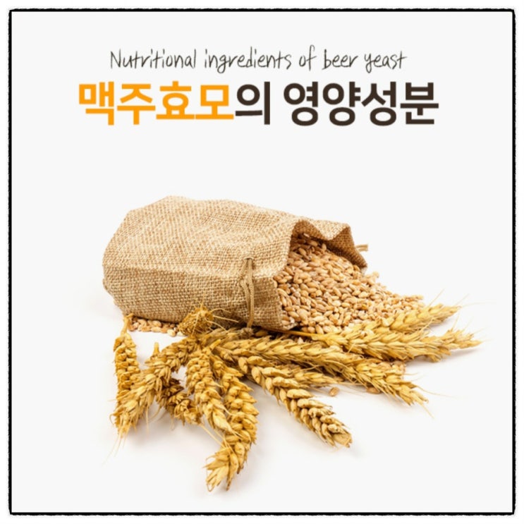  맥주효모 효능과 부작용 주의점 선택기준 알고 먹으면 더 좋은~