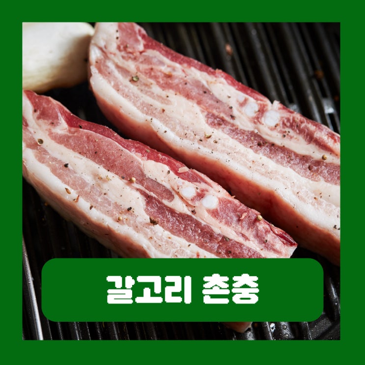  갈고리촌충 돼지고기 익혀 먹어야 하는 이유 원인 모를 두통