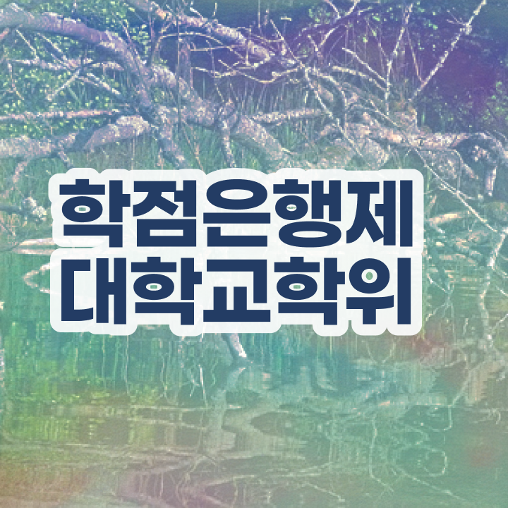  학점은행제학사 학위 관련학위 없어도 성공할 수 있어요