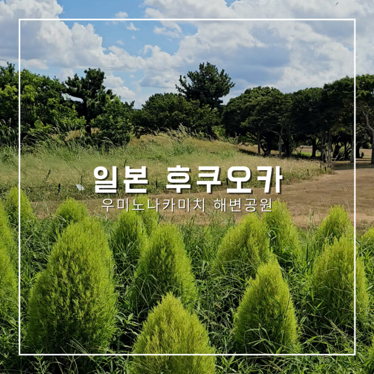  일본여행 1박2일 후쿠오카 가볼만한곳 우미노나카미치 해변공원