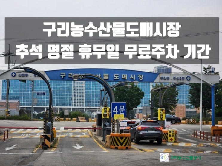  구리농수산물도매시장 추석 명절 휴무일 주차장 무료 개방