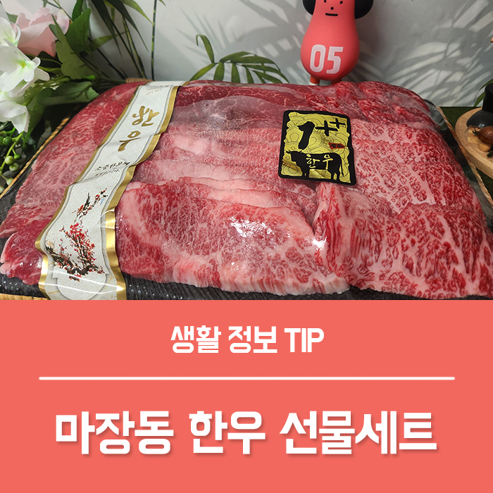  마장동 한우 선물세트 1++ NO9 등급, 첫명절 선물로 추천!