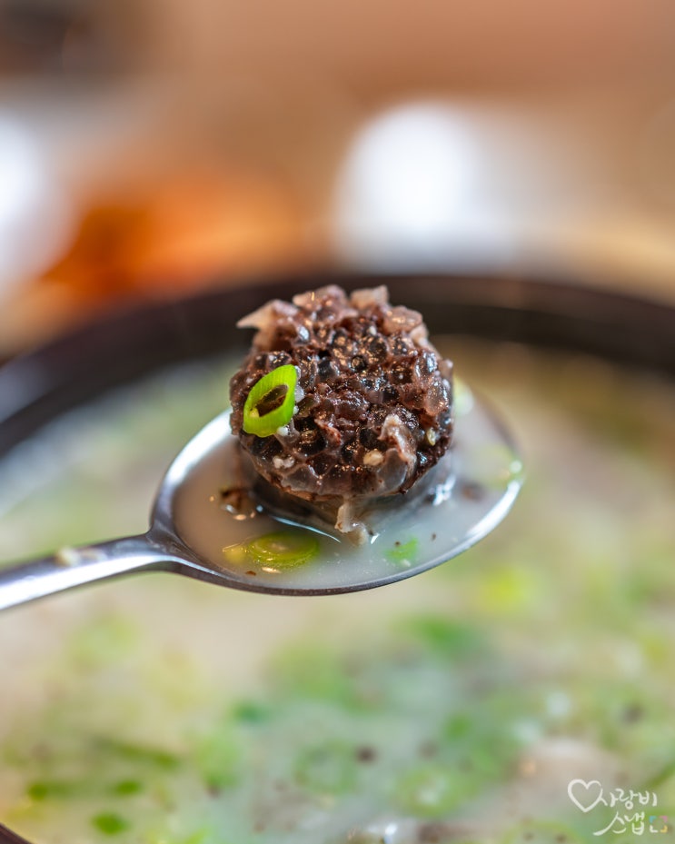  프라하 순대국 맛집: 가람 Restaurant GARAM by 석영작가