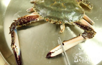 꽃게탕 맛있게 끓이는 황금 레시피, 국물 맛 끝내 주는 꽃게탕 양념이, 꽃게 손질법 : 네이버 블로그
