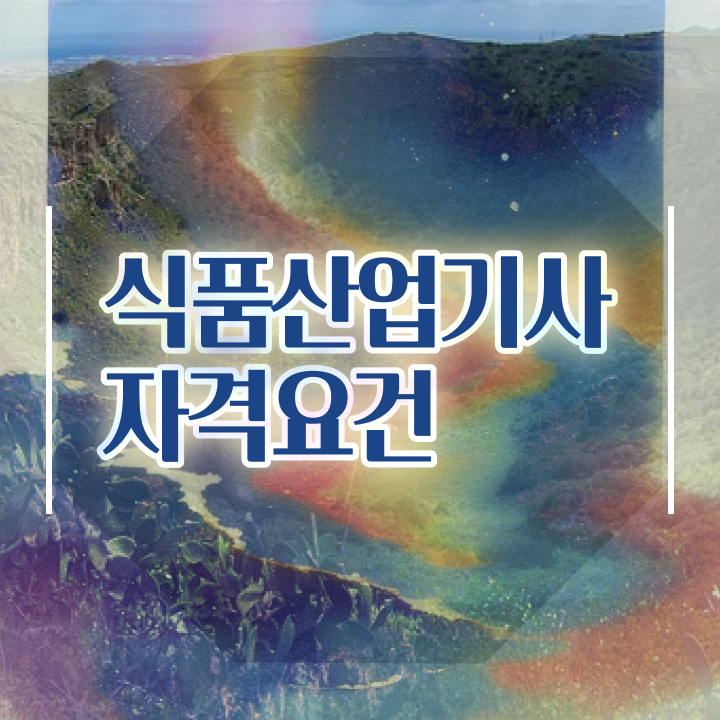  2024 식품산업기사 식품산업기사 시험응시조건 온라인 과정으로 1학기 만에 성공한 후기