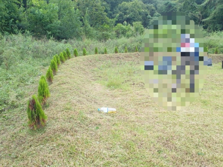  2024년 성주군 백진면 봉개리 가족묘벌초 고인돌장의사 #김천벌초 #선산벌초 #구미벌초 #황간벌초 #영동벌초 #성주벌초 #상주벌초 #추석벌초 #윤달 #손없는날 #이장