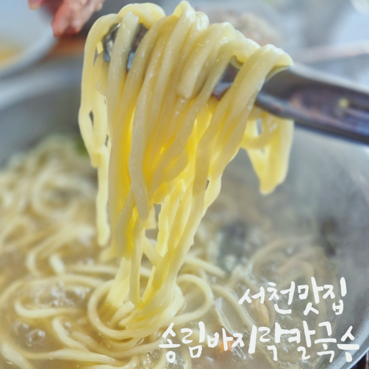  서천맛집 서천 씨큐리움근처 서천 송림바지락칼국수