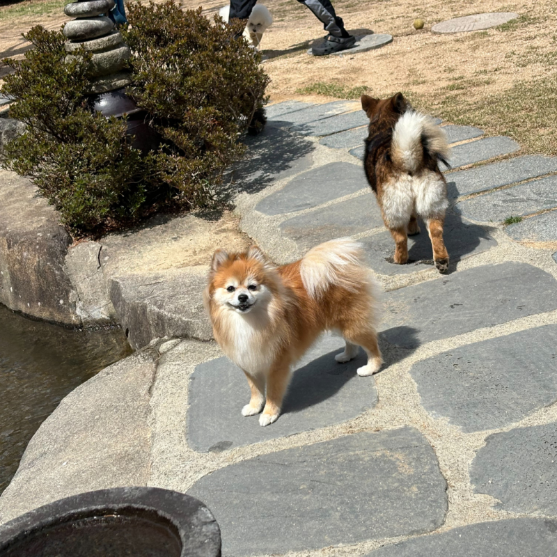 사진 8