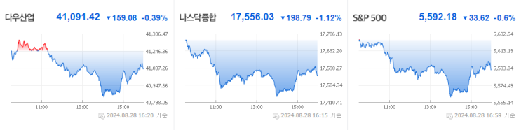 20240829(목) 주식투자 일기 : <b>엔비디아 실적 상회</b>, 하지만... 