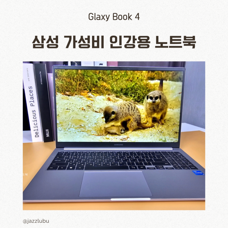  가성비 인강용 삼성 노트북 갤럭시북4 NT750XGR-A31A