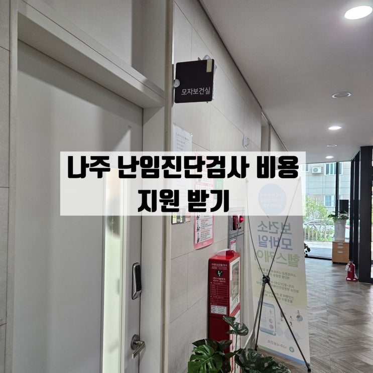  나주 난임진단 검사 비용 지원 / 나주 보건소 모자모건실
