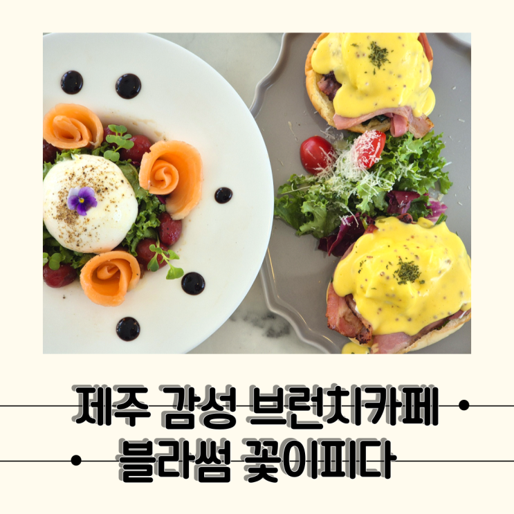  [제주] 한라산이 보이는 여유로웠던 서귀포 감성 브런치카페 , 블라썸꽃이피다