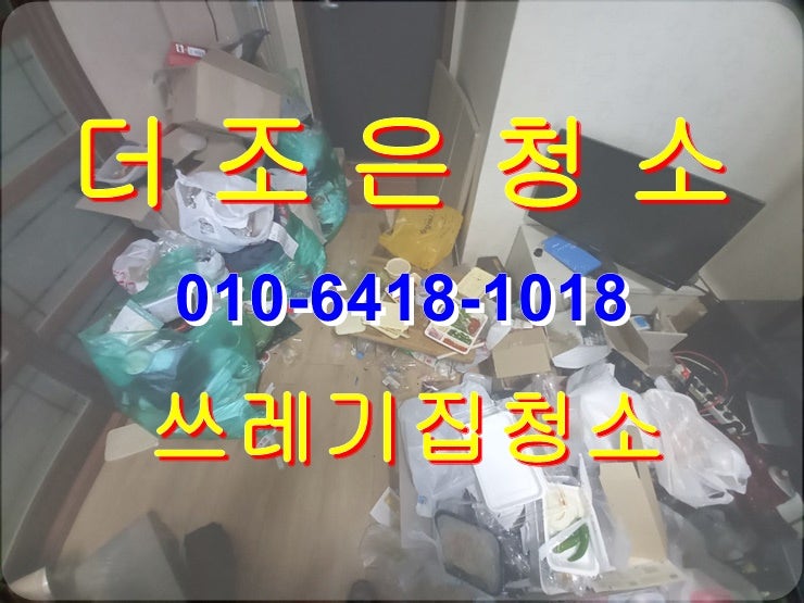  경남 김해/장유 지저분한 더러운 쓰레기집 청소 전문업체입니다!!(부산 퇴실쓰레기_이사폐기물 처리)