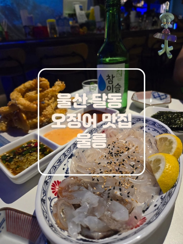  울산 달동 힙한 신상 핫플 술집 오징어 회가 맛있는 울릉