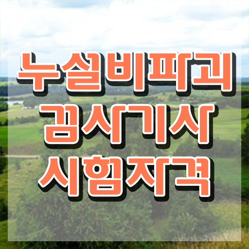  누설비파괴검사기사 시험자격 온라인 과정으로 편하게 준비한 후기