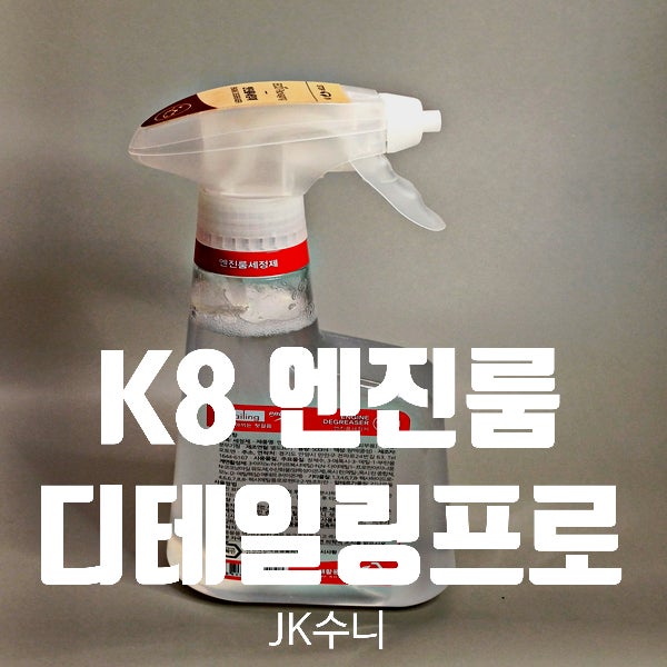  [리뷰] 디테일링프로 eco 자동차 엔진룸 세정제 Tip