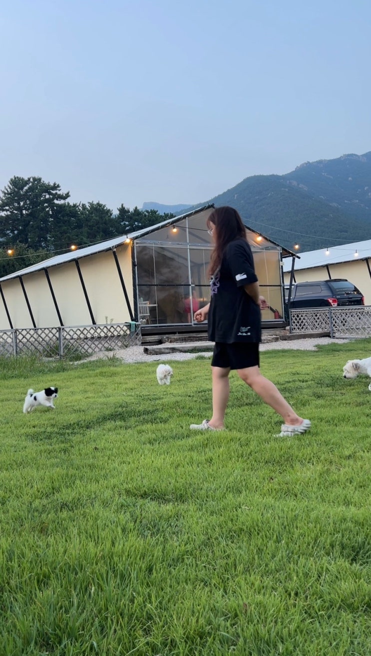  장흥땡땡이글램핑, 전남 캠핑장 반려견 애견동반 숙소
