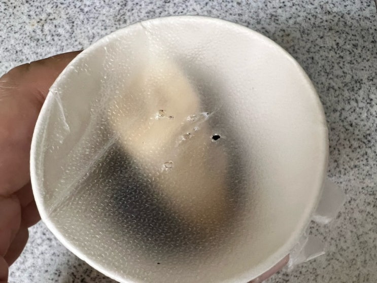  [여름철 필수 날파리 트랩] 집에 있는 물건들로 초파리 트랩 만들기