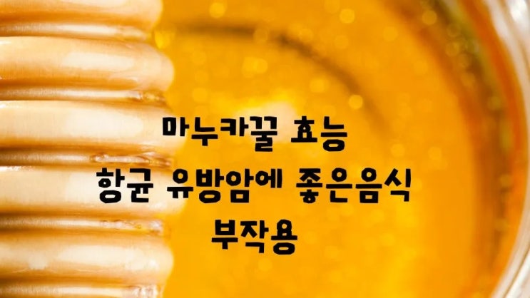  마누카꿀 효능 먹는법 유방암 항균에 좋은음식 부작용