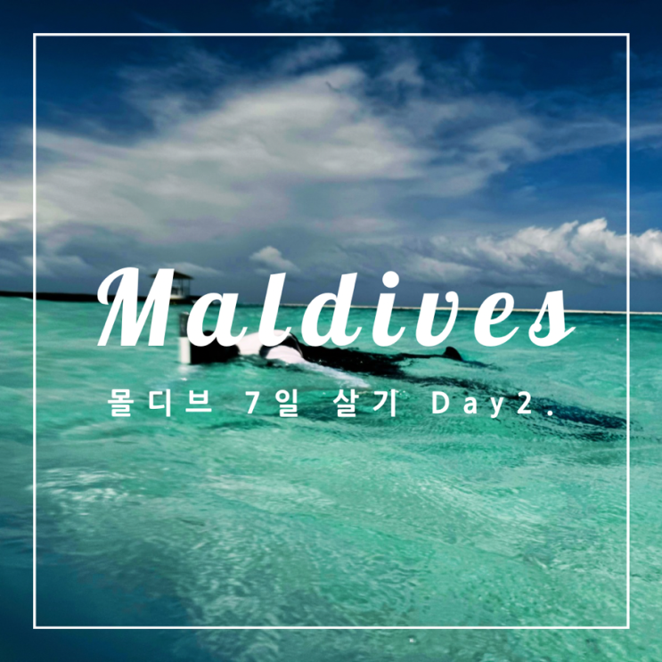   몰디브 7일 살기 Day 2. #2 (부제: 바닷속 이야기)