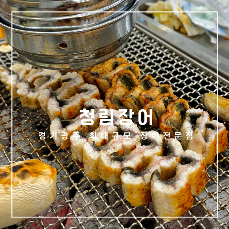  경기도 광주 맛집 청림장어 보양식으로 좋은 두툼하고 튼실한 장어