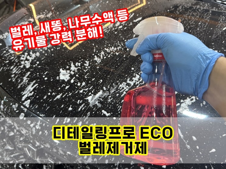  범퍼 사이드미러 벌레 터져서 제거 어렵다면 디테일링프로 ECO 벌레제거제 버그크리너