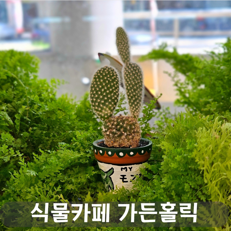  대전이색카페, 식물카페 가든홀릭:플랜트팟 드로잉으로 만든 나만의 미니 정원