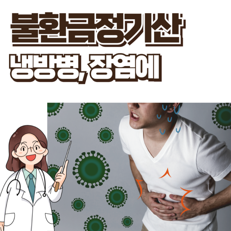  불환금정기산 여름철 냉방병, 장염에