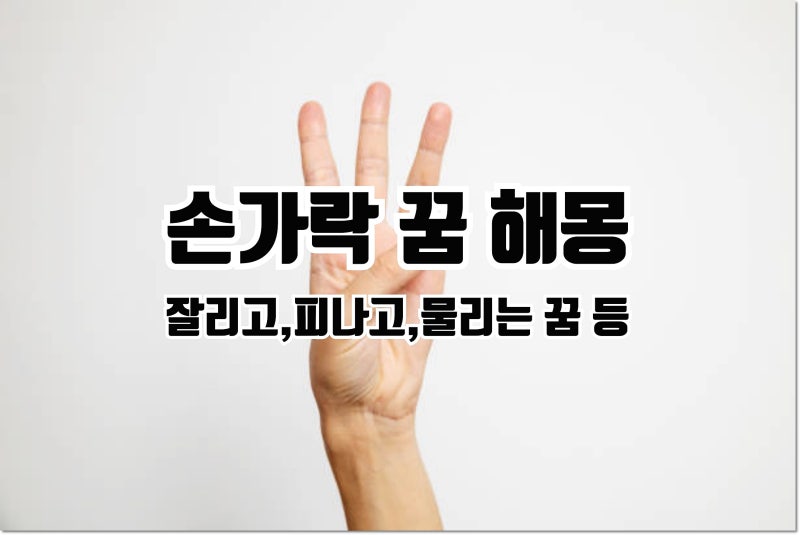 손가락 꿈 해몽 잘리는 꿈 베이는 꿈 부러지는 꿈 피나는 꿈 등