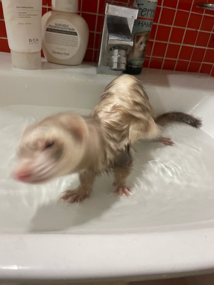  24829