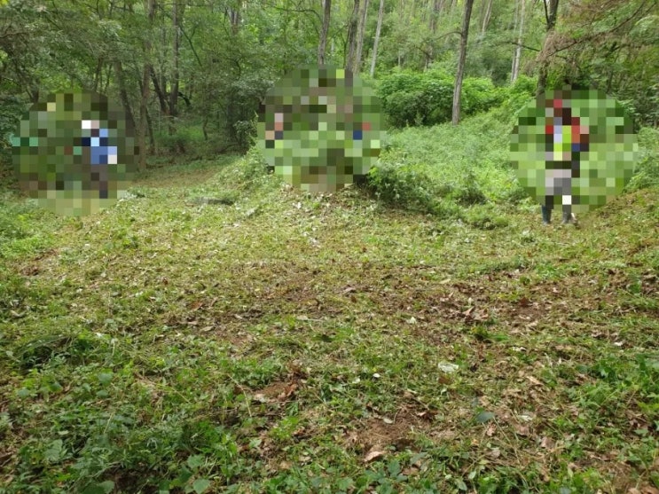  2024년 구미시 고아읍 횡산리 3구벌초 고인돌장묘개발 #김천벌초 #선산벌초 #구미벌초 #황간벌초 #영동벌초 #성주벌초 #상주벌초 #추석벌초 #윤달 #손없는날 #이장