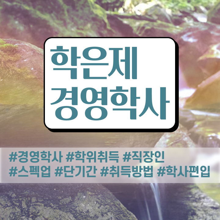  경영학 강의 , 경영학 경력없는 고졸도 간단하게 준비했던 꿀팁 모음