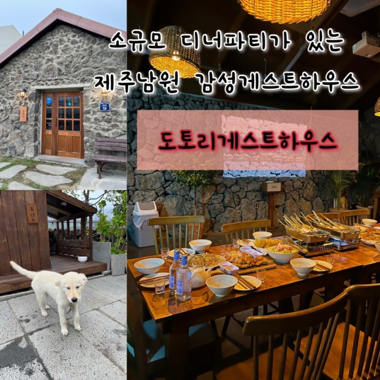  내돈내산 | 친절한 스텝들, 소규모 디너파티가 재밌었던 제주남원 감성게스트하우스 “도토리게스트하우스”