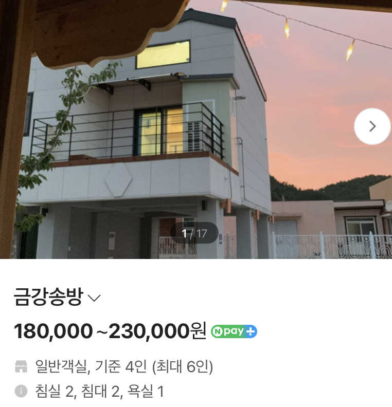 사진 14