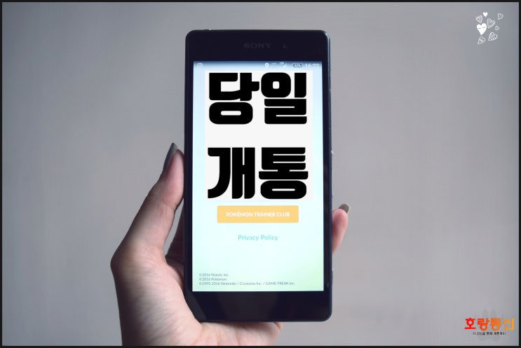 엔텔레콤 요금제 선택 및 개통 방법 엔텔레콤 요금제 선택 및 개통 방법