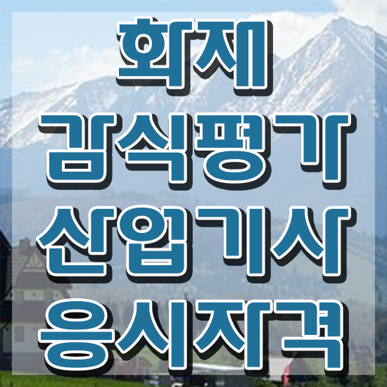  화재감식평가기사 시험자격 인강으로 5개월 만에 끝낸 후기
