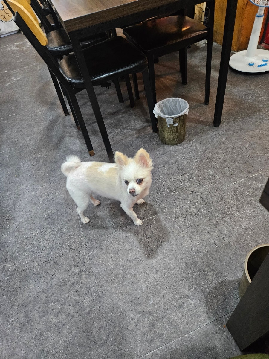 순돌이네연탄집 사진 2