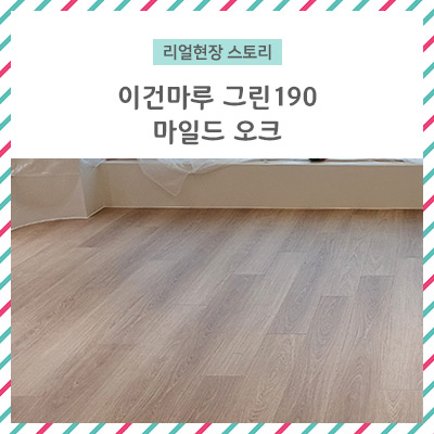  [리얼 현장 스토리] 이건마루 그린190 마일드 오크