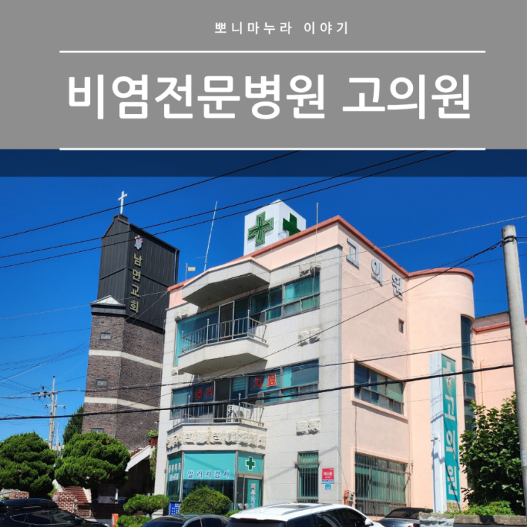  양주 고의원 알레르기 비염 전문 병원 리얼 후기