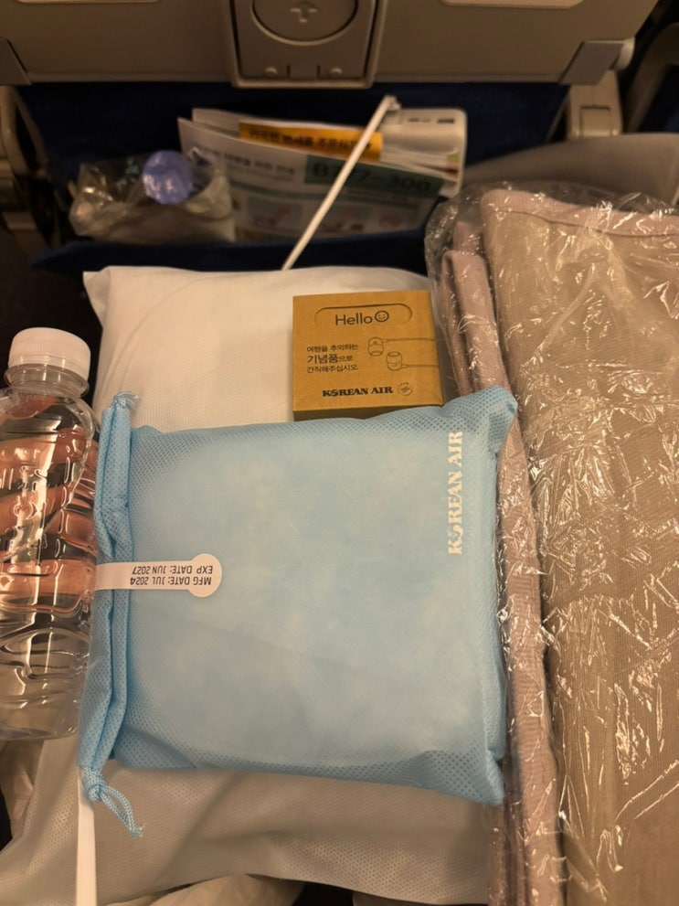  한국 스위스 대한항공 직항 이코노미 가격, 기내식 후기(feat. 무한 와인)