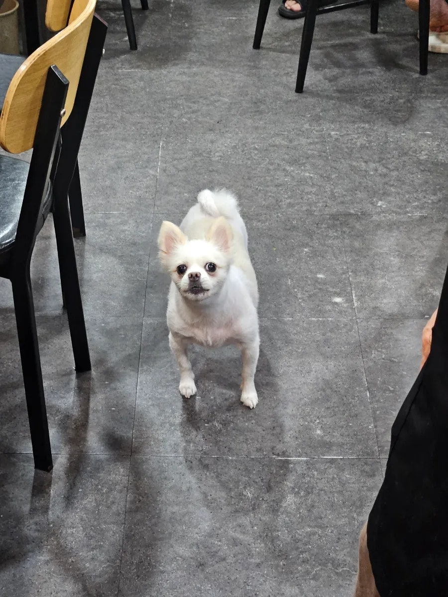 순돌이네연탄집 사진 1